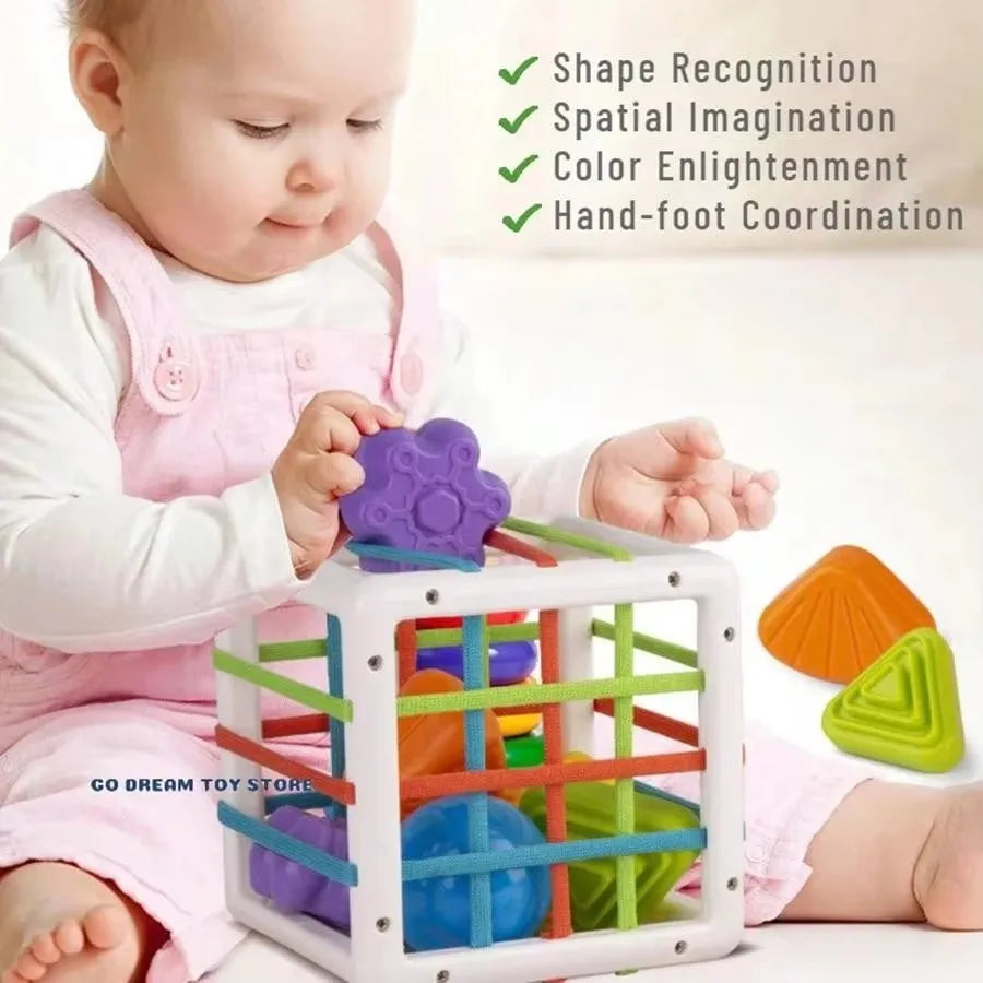 Baby Montessori Toy 2 Years Shape Sorter Toy Sensory Sorting Toys Motor Training Games Kids Educational Toys For Baby 1 -2 Years